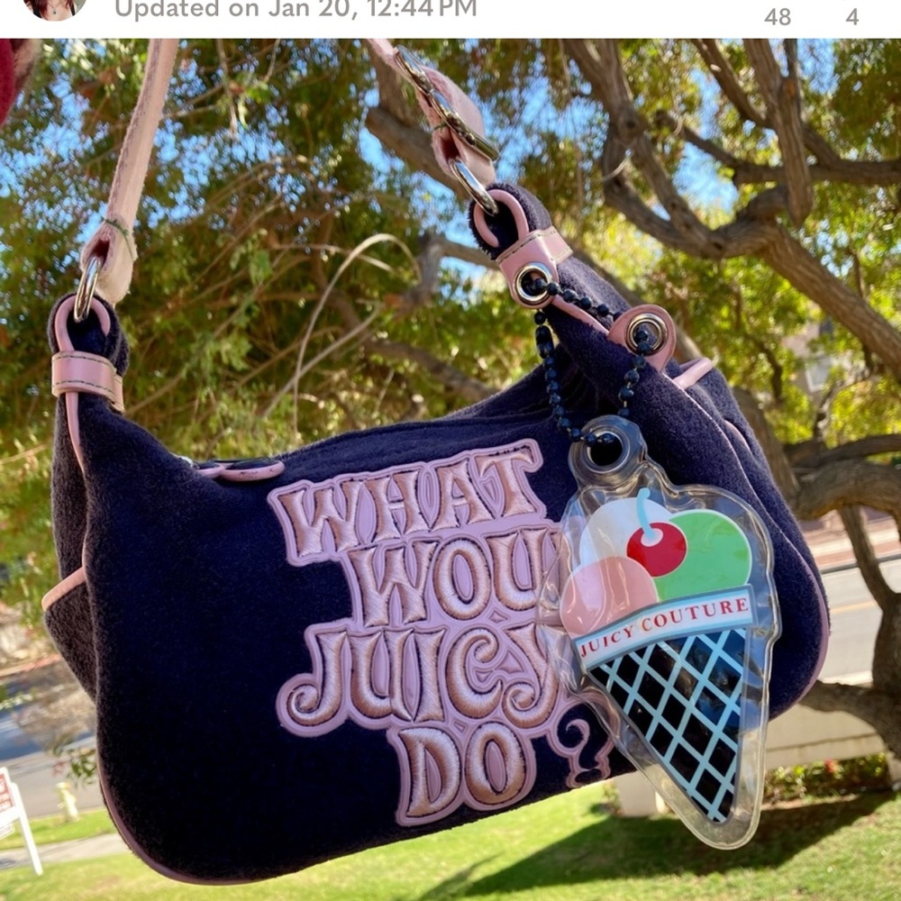 COPY - Juicy Couture Purse ISO